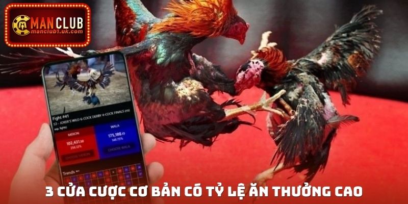 3 cửa cược cơ bản có tỷ lệ ăn thưởng cao