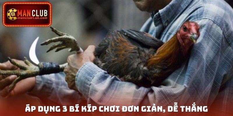 Áp dụng 3 bí kíp chơi đơn giản, dễ thắng
