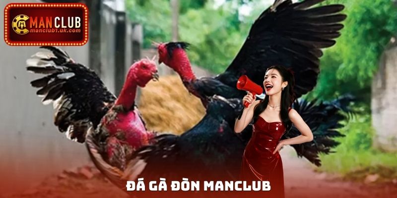 Đá Gà Đòn Manclub